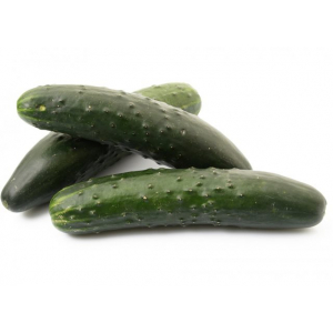 Concombre court épineux