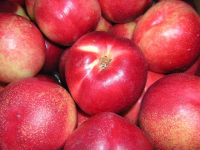 Nectarine blanche