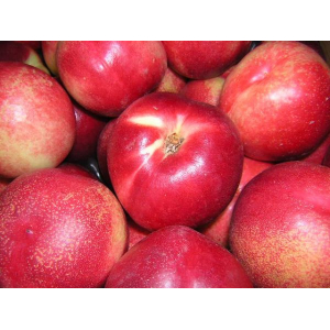 Nectarine blanche