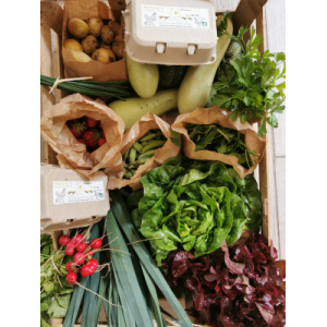 Panier de fruits et légumes