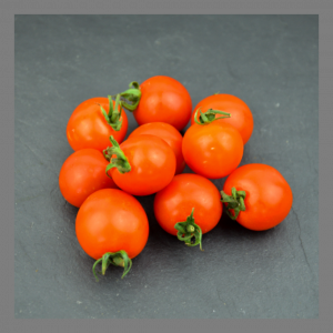 Tomate cerise sakura