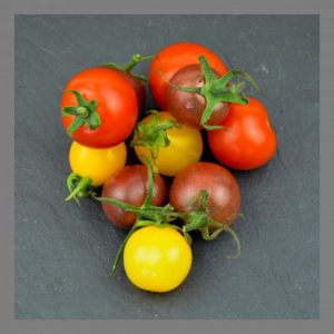 Tomate cerise mix