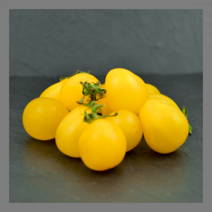 Tomate cerise yellow submarine