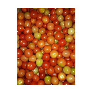 Tomate cerise mélangé multicouleurs