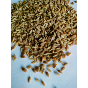 Risoni gourmande au curry