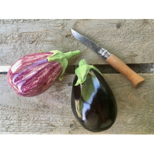 Aubergines