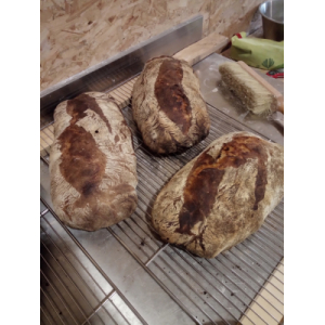 Pain semi complet fermentee levain