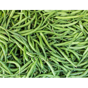 Haricot vert bio