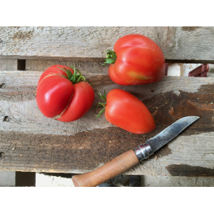 Tomates anciennes