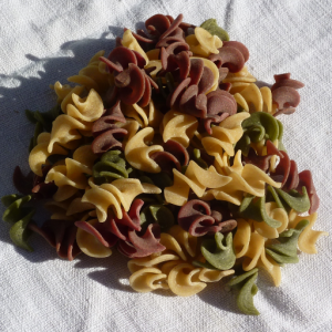 Bretzel 3 couleurs bio