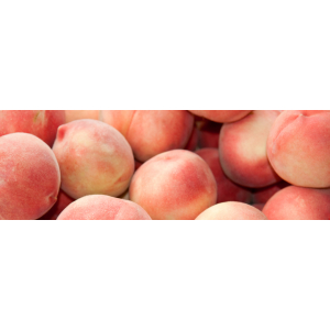Pêches blanches