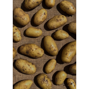 La joconde des pommes de terre