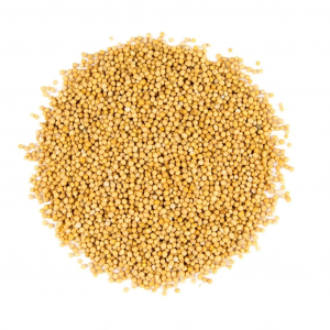 Moutarde jaune graines entières 100g