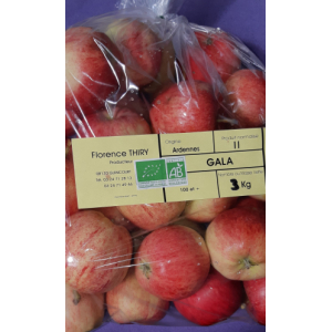Pomme gala en sac de 3 kg
