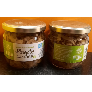 Pleurotes au naturel