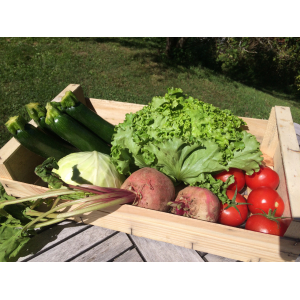 Petit panier pour 1-2 personnes