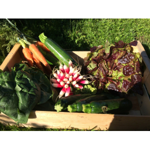 Grand panier de légumes - 4 personnes