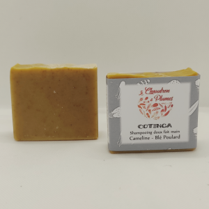 Shampooing cotinga sans parfum