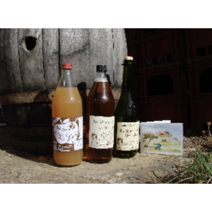 Différents jus de pomme selon la variété