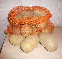 Pomme de terre elodie 2.5kg