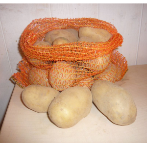 Pomme de terre elodie 2.5kg
