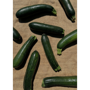 Courgette verte claire