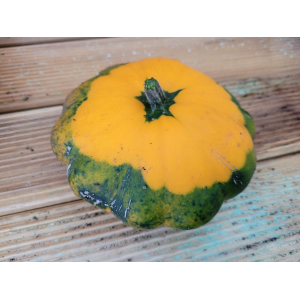 Pâtisson jaune (-500g)