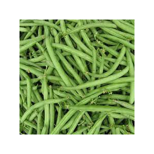 Haricots vert extra fin