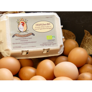 12 oeufs frais bio