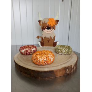 Frais aromatisés oignor