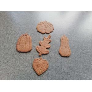 Biscuits d'automne à la caroube
