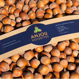 Noisettes sèches en coques