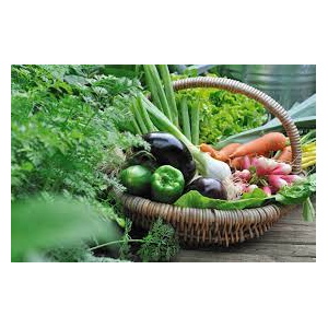 Panier de légume