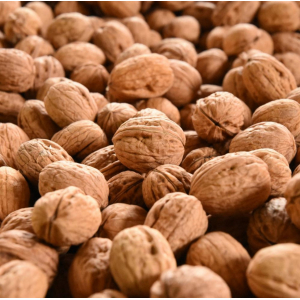Noix sèches bio