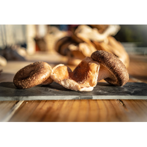 Shiitakes frais bio