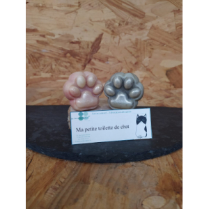 Ma petite toilette de chat