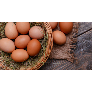 Oeufs biologiques