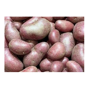 Pomme de terre cherie