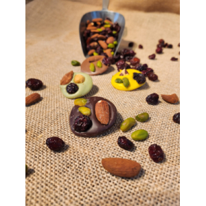 Mix de mendiants variés au chocolat