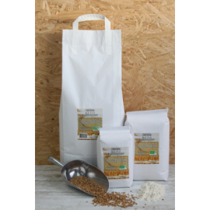 Dlc courte farine de blé t110 bio