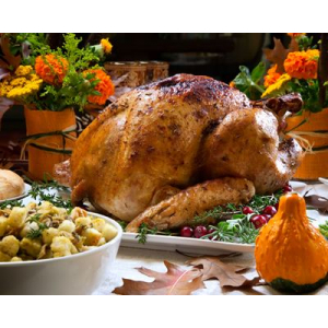 Pintade perle noire fermière bio