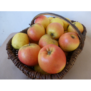 Jubilé 95g/120g cat.1