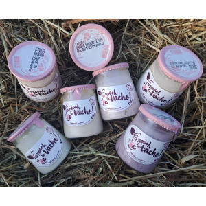 Yaourt brassé myrtille 125g - pot consigné