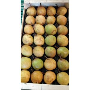 Plateau poire passe- crassane