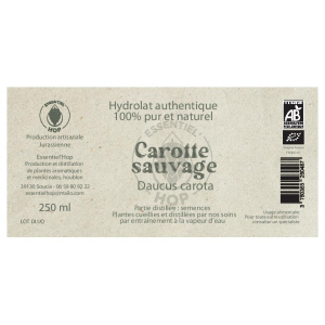 Hydrolat de carotte sauvage