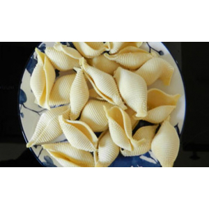 Pâtes fraîches conchiglie