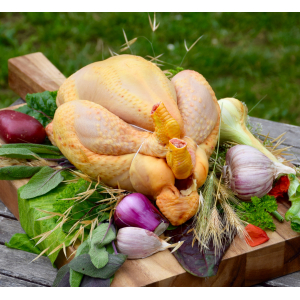 Poulet gros bio ferme orée milly en morceaux