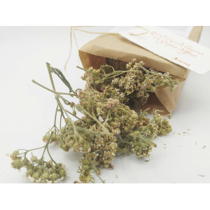 Tisane du barde - achillée