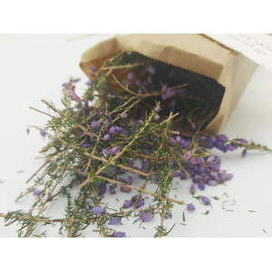 Tisane du barde - bruyère cendrée