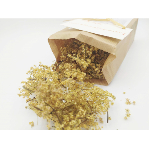 Tisane du barde - sureau noir